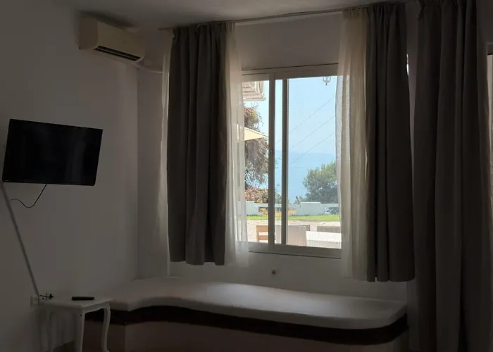 Amelia Seaview &