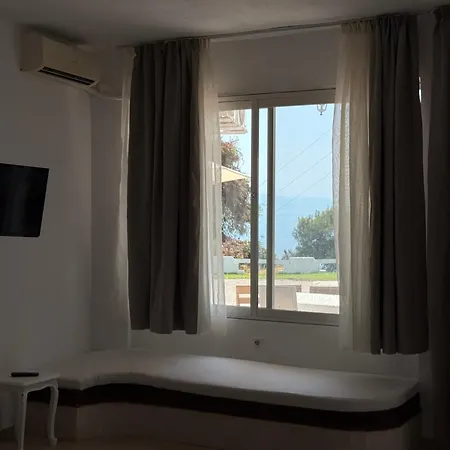 Amelia Seaview &